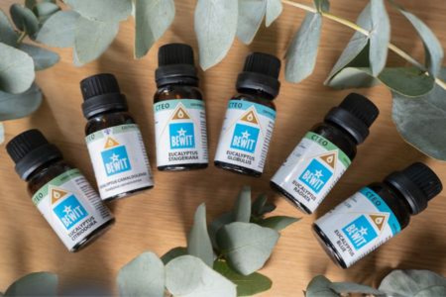 Eukalyptus: ein praktischer Ratgeber für die Aromatherapie zu Hause