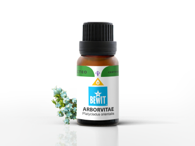Arbortivae essential oil