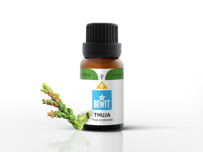 Essential Oil of Thuja