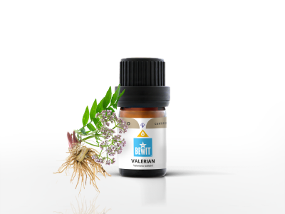 Valerian essential oil