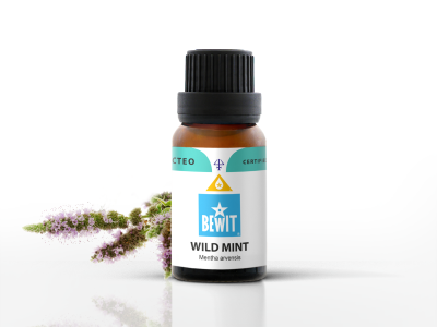 Wild mint essential oil